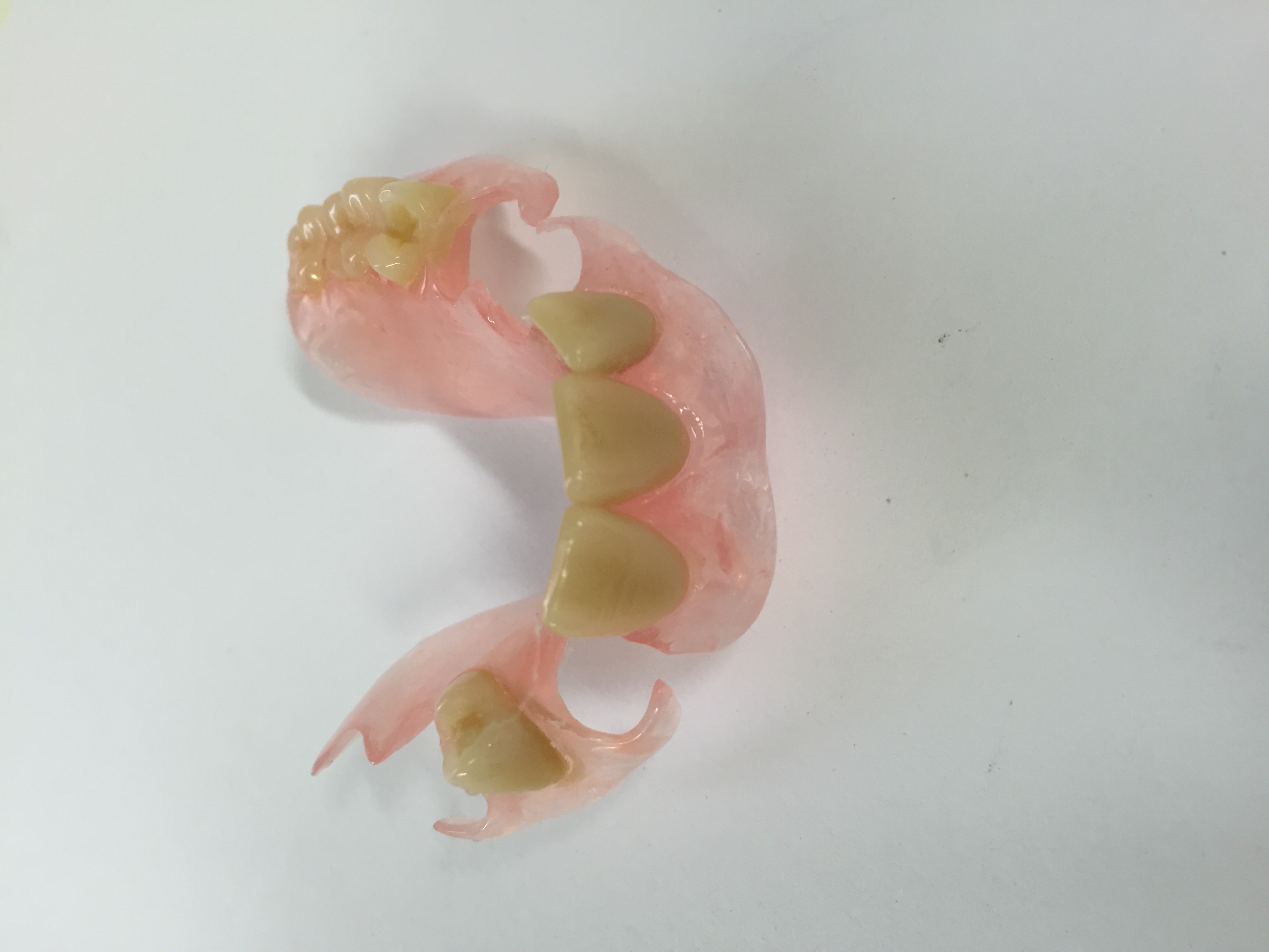 Nylon - New B Dental